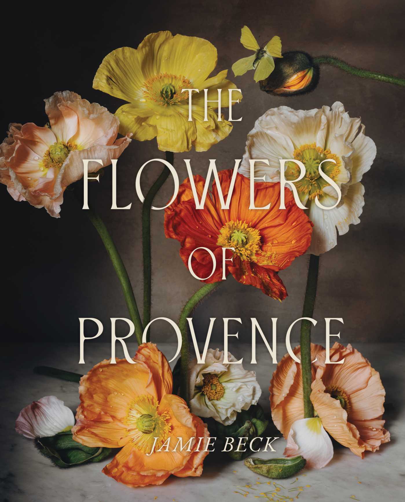 The Flowers of Provence 1 The Flowers of Provence