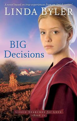 Big Decisions: A Novel Based On True Experiences From An Amish Writer!