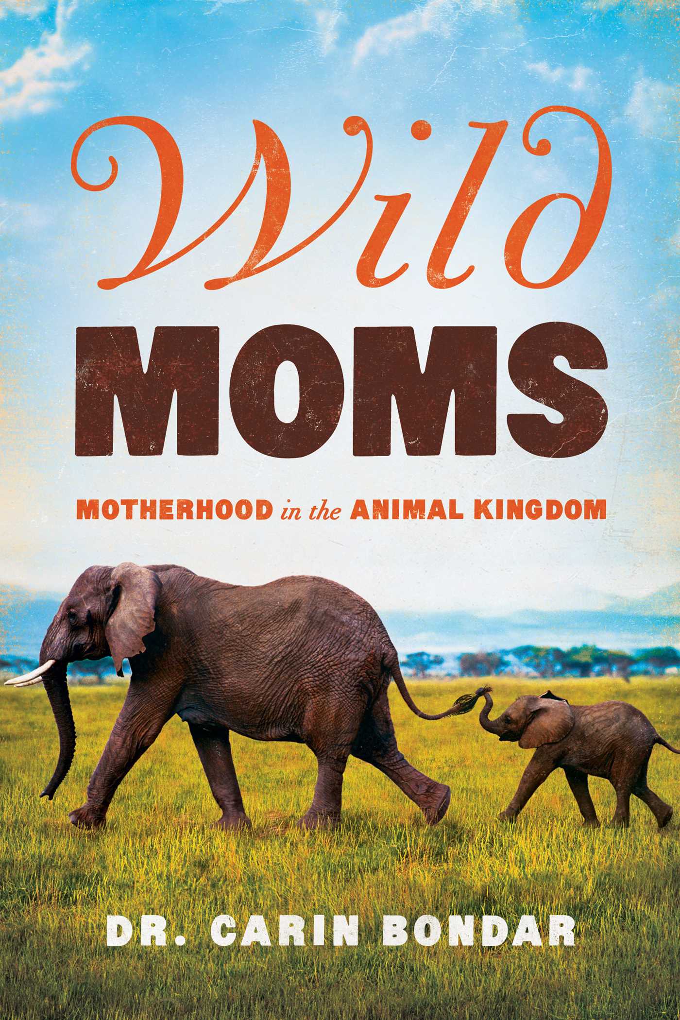 Wild Moms 1 Wild Moms