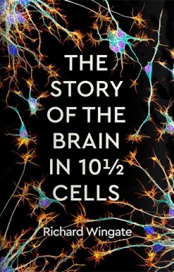 Story of the Brain in 10Â½ Cells