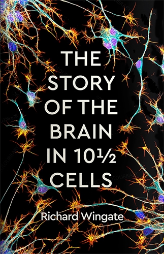 Story of the Brain in 10Â½ Cells