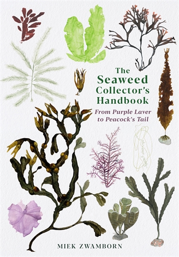 Seaweed Collector's Handbook From Purple Laver to Peacockâ Tail