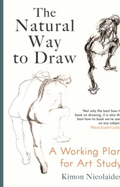 Natural Way to Draw A Working Plan for Art Study