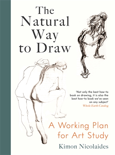 Natural Way to Draw A Working Plan for Art Study