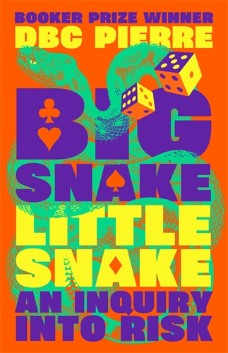 Big Snake Little Snake An Inquiry into Risk