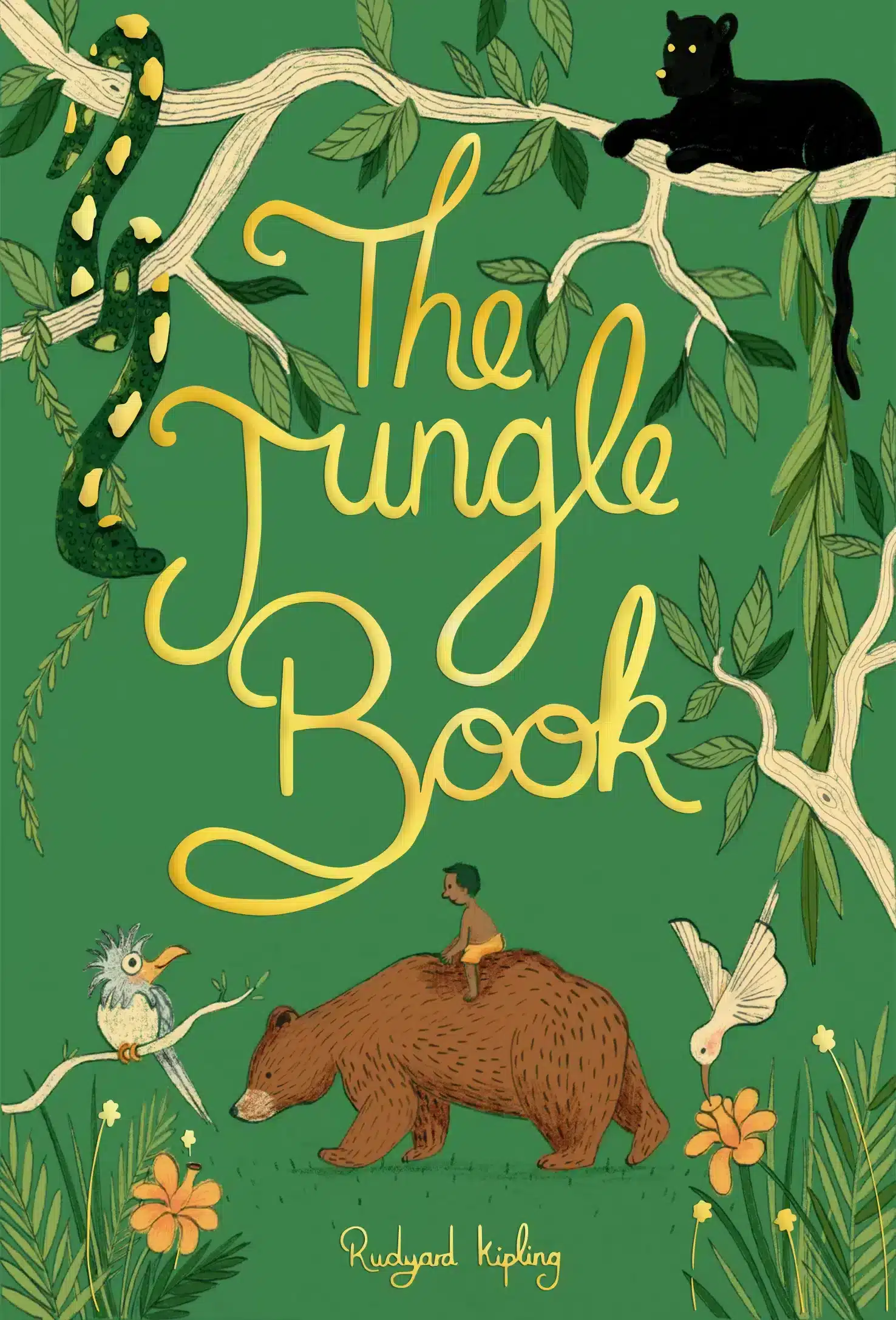 The Jungle Book 1 The Jungle Book
