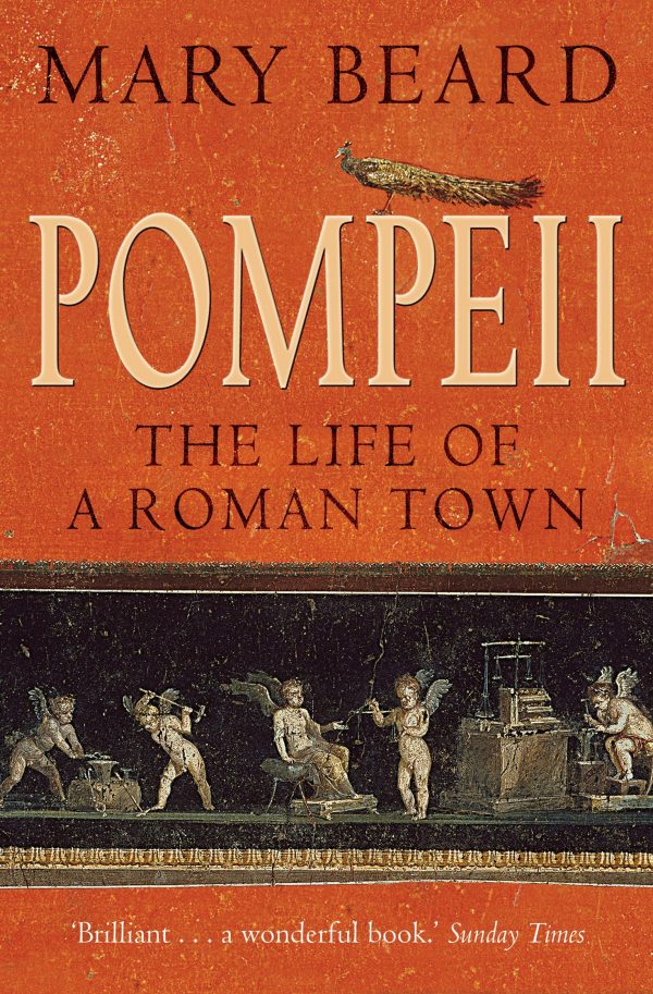 Pompeii The Life of a Roman Town