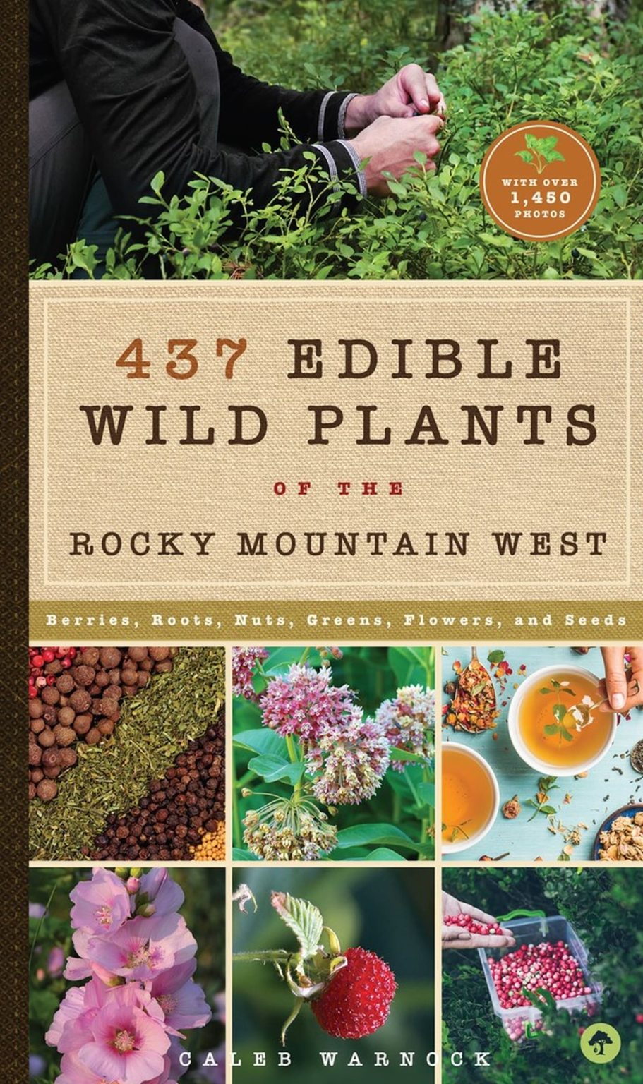 437 Edible Wild Plants of the Rocky Mountain West: Berries, Roots, Nuts, Greens, Flowers, and Seeds 3 437 Edible Wild Plants of the Rocky Mountain West: Berries, Roots, Nuts, Greens, Flowers, and Seeds