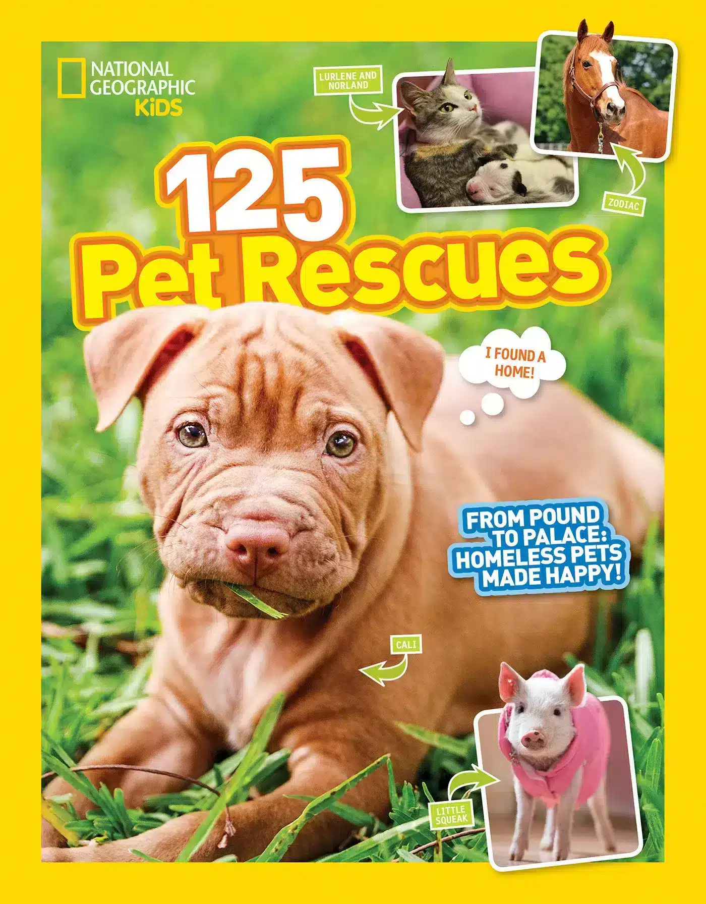 125 Pet Rescues: From Pound to Palace: Homeless Pets Made Happy 1 125 Pet Rescues: From Pound to Palace: Homeless Pets Made Happy