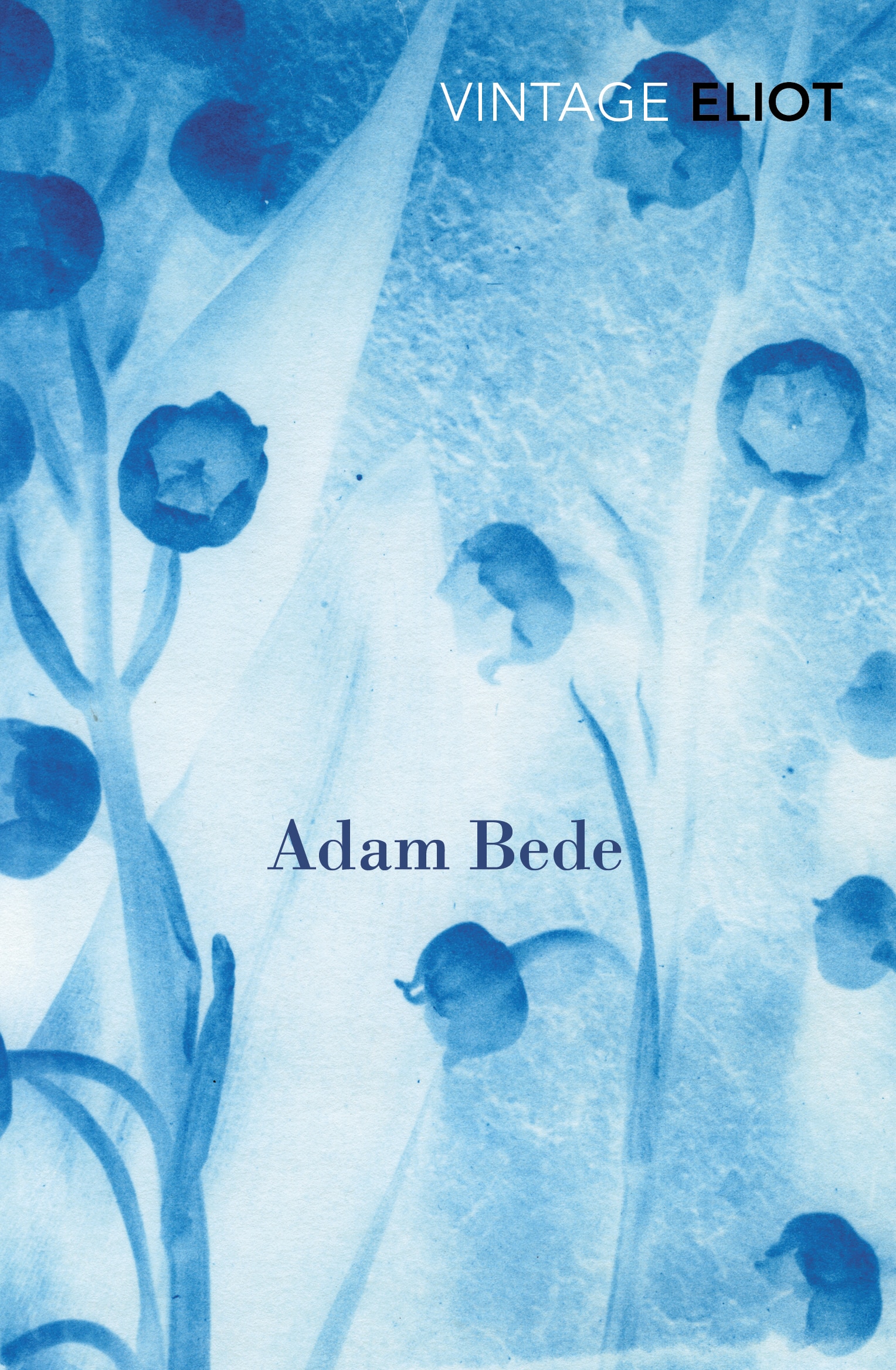 Adam Bede 1 Adam Bede