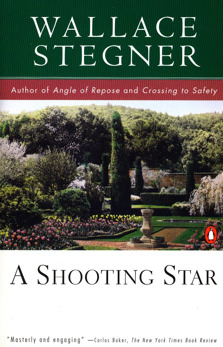 9780140252415 A Shooting Star