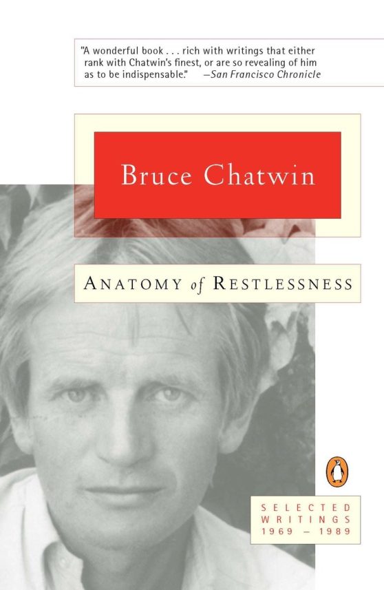 Selected Writings 1969-1989: Anatomy of Restlessness