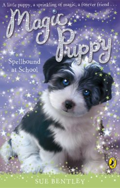 Magic Puppy Spellbound At School