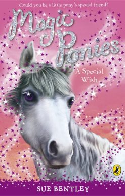 Magic Ponies a Special Wish