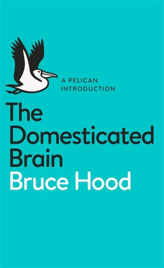 A Pelican Introduction the Domesticated Brain