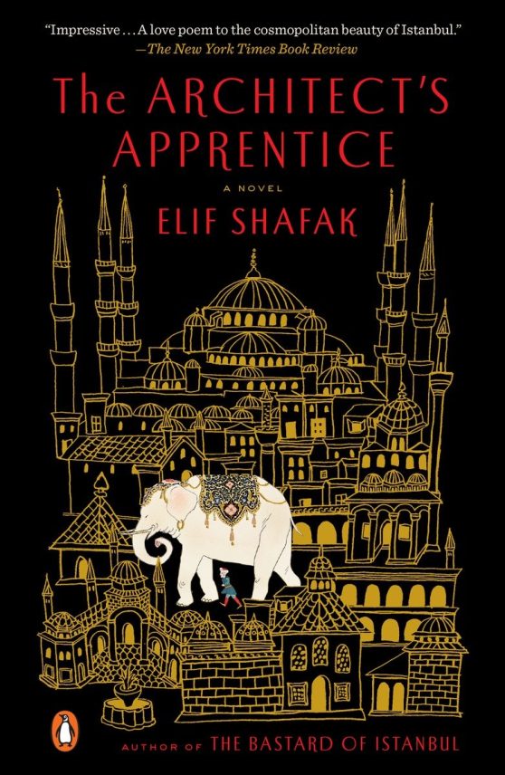 A Novel: The Architect's Apprentice