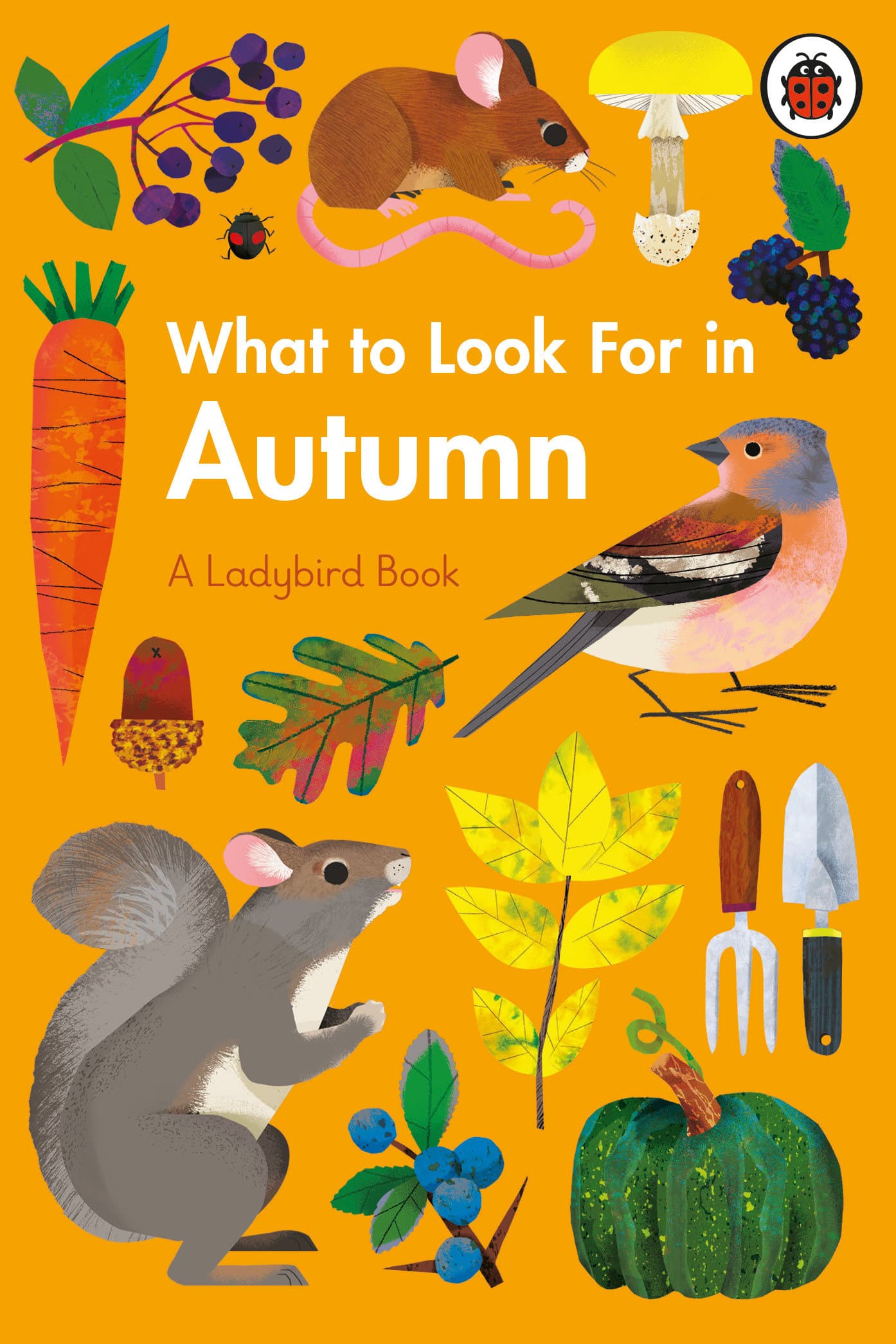 9780241416167 What to Look For in Autumn