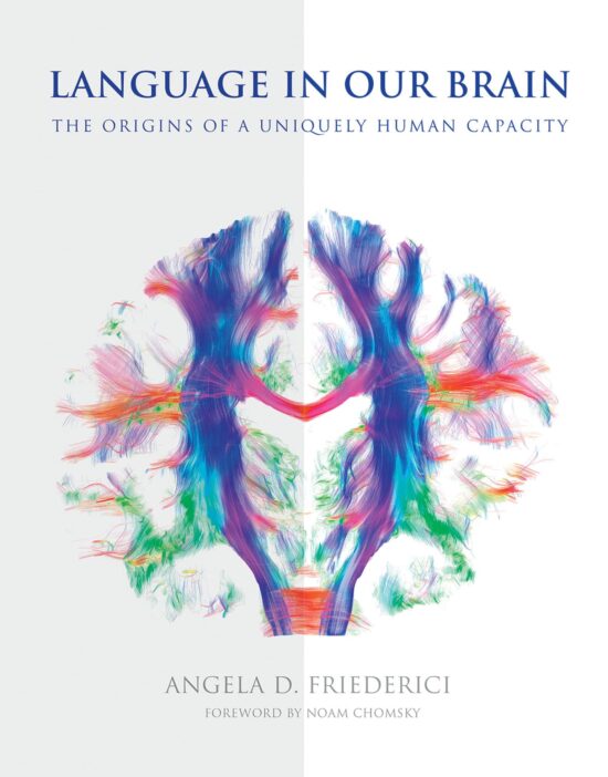 The Origins of a Uniquely Human Capacity: Language in Our Brain