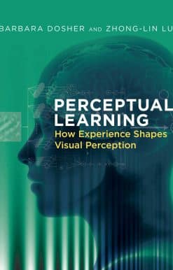 Perceptual Learning: How Experience Shapes Visual Perception