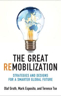 The Great Remobilization: Strategies and Designs for a Smarter Global Future