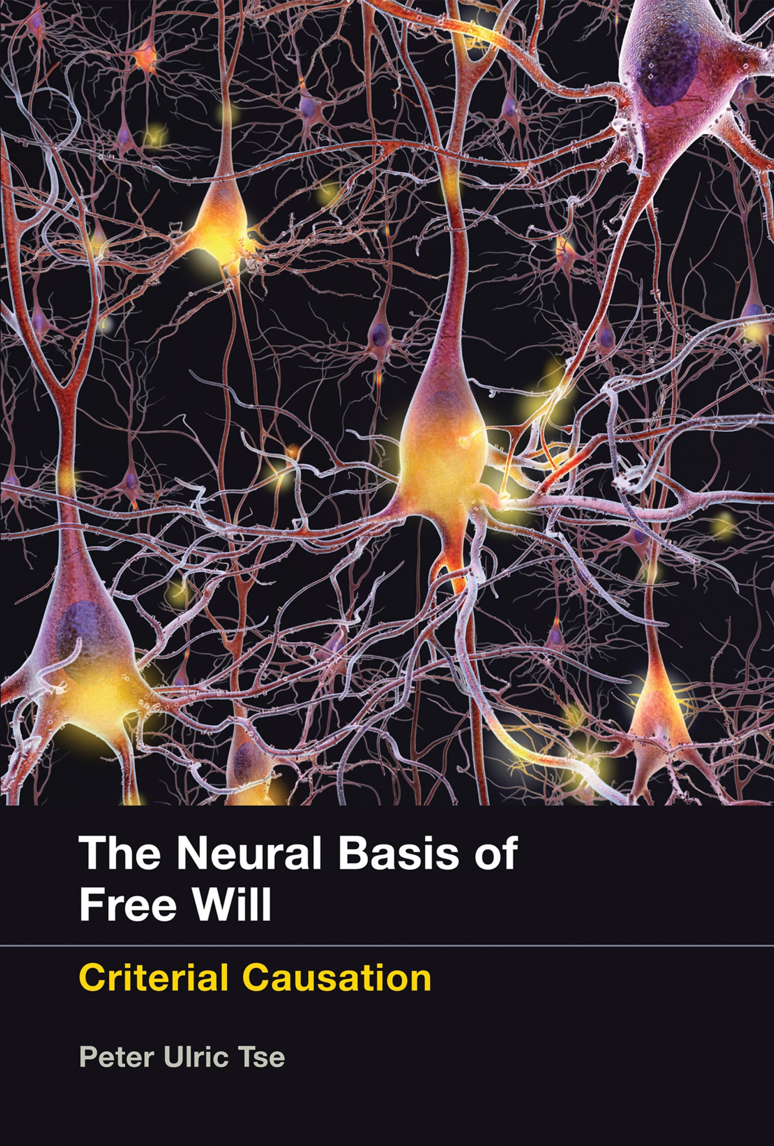 9780262528313 The Neural Basis of Free Will: Criterial Causation