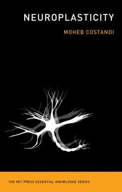Neuroplasticity