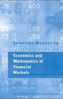Solutions Manual for Introduction to the Economics and Mathematics of Financial Markets