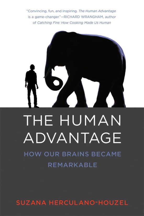 How Our Brains Became Remarkable: The Human Advantage