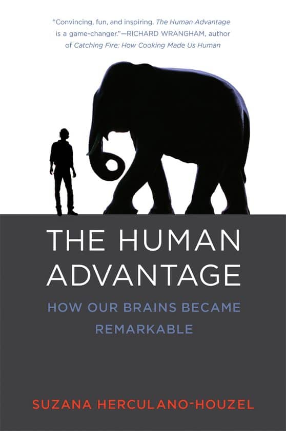How Our Brains Became Remarkable: The Human Advantage