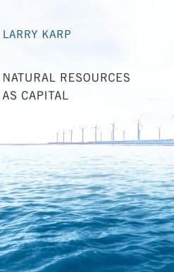 Natural Resources as Capital