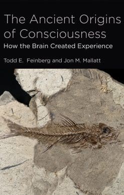 The Ancient Origins of Consciousness: How the Brain Created Experience
