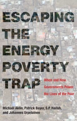 Escaping the Energy Poverty Trap: When and How Governments Power the Lives of the Poor