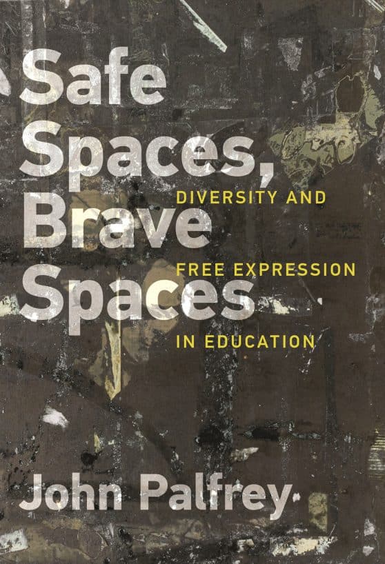 Diversity and Free Expression in Education: Safe Spaces, Brave Spaces