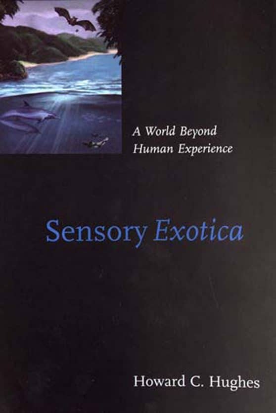 A World beyond Human Experience: Sensory Exotica