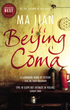 Beijing Coma