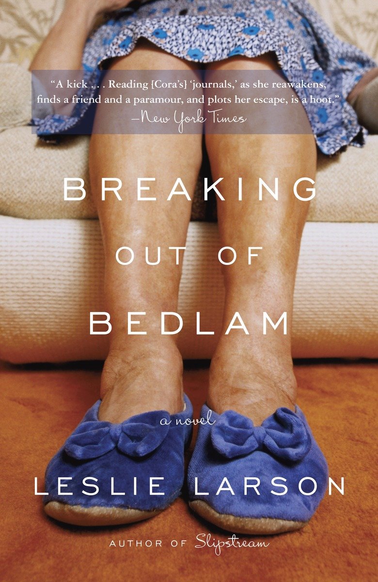 9780307460776 A Novel: Breaking Out of Bedlam
