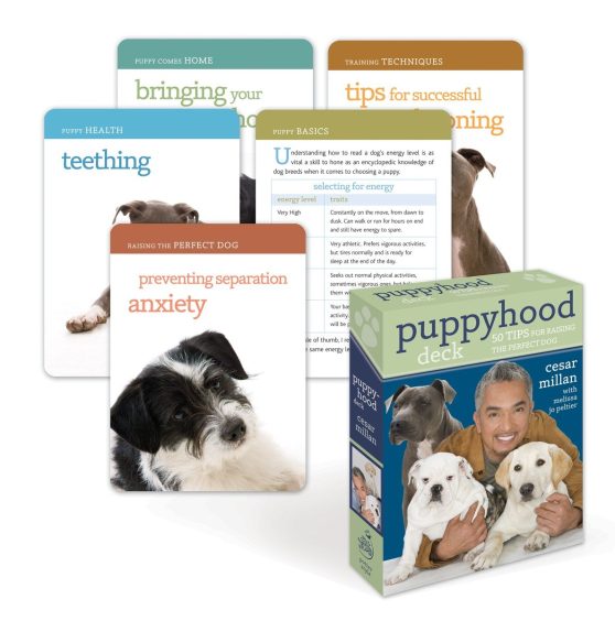 50 Tips for Raising the Perfect Dog: Puppyhood Deck