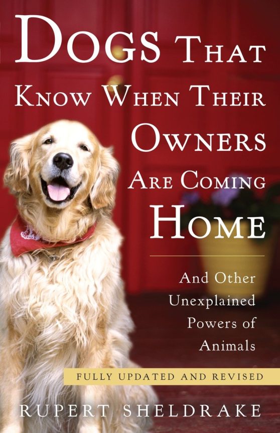Fully Updated and Revised: Dogs That Know When Their Owners Are Coming Home