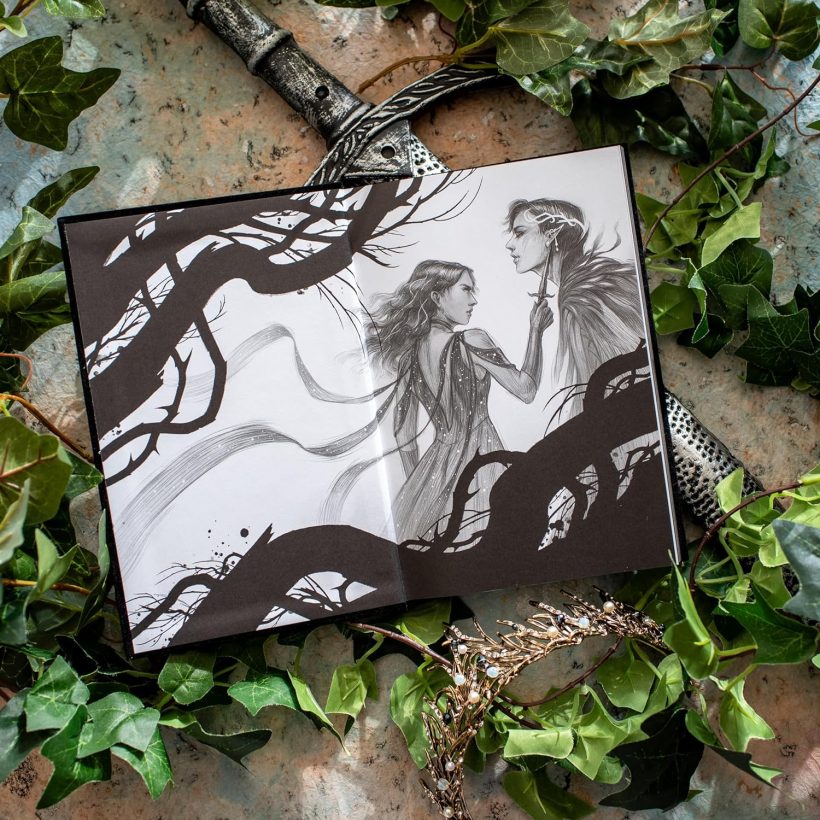 The Cruel Prince: Collector's Edition (Folk of the Air, 1)