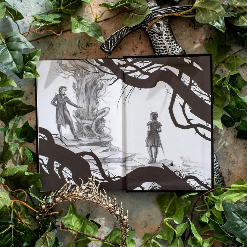 The Cruel Prince: Collector's Edition (Folk of the Air, 1)