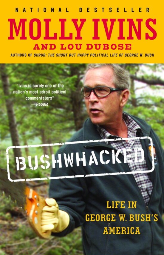 Life in George W. Bush's America: Bushwhacked