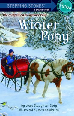 Winter Pony