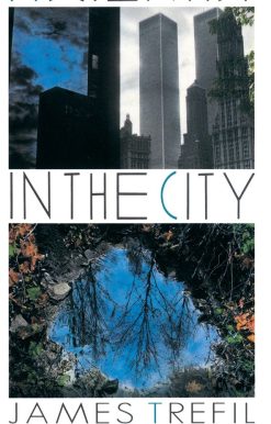 A Scientist in the City