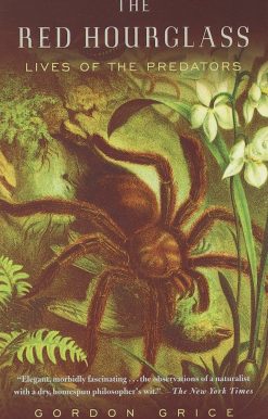 Lives of the Predators: The Red Hourglass