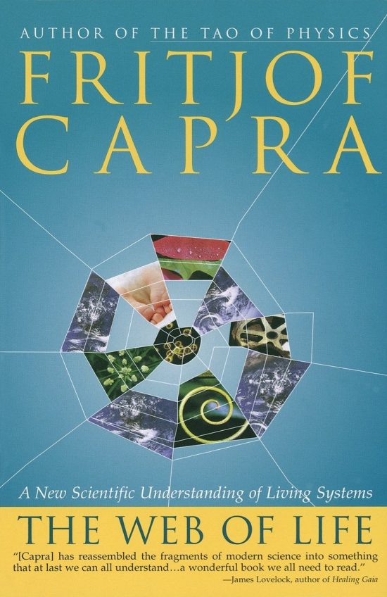 The Web of Life: A New Scientific Understanding of Living Systems