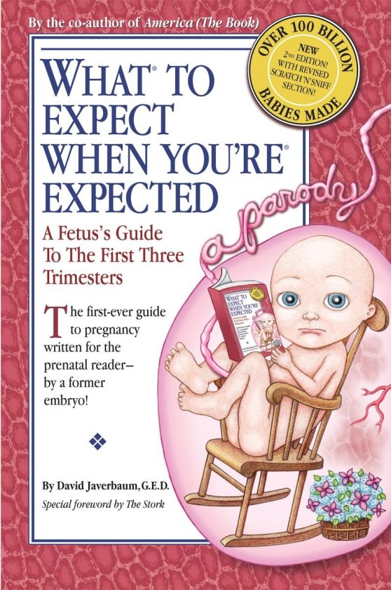 A Fetus's Guide to the First Three Trimesters: What to Expect When You're Expected