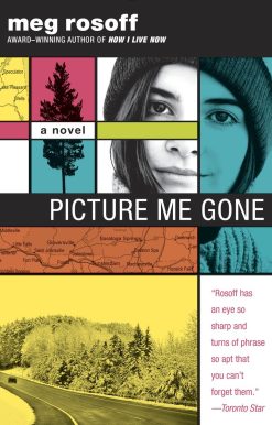 Picture Me Gone:
