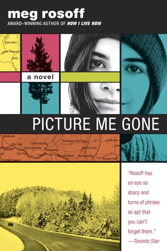 Picture Me Gone: