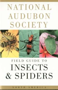 National Audubon Society Field Guide to Insects and Spiders: North America