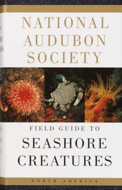 North America: National Audubon Society Field Guide to Seashore Creatures